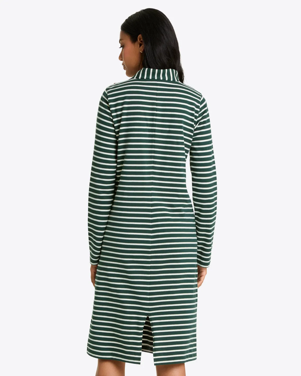 Elsie Turtleneck Dress in Green Stripe