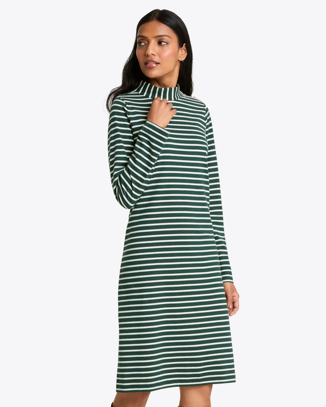 Elsie Turtleneck Dress in Green Stripe